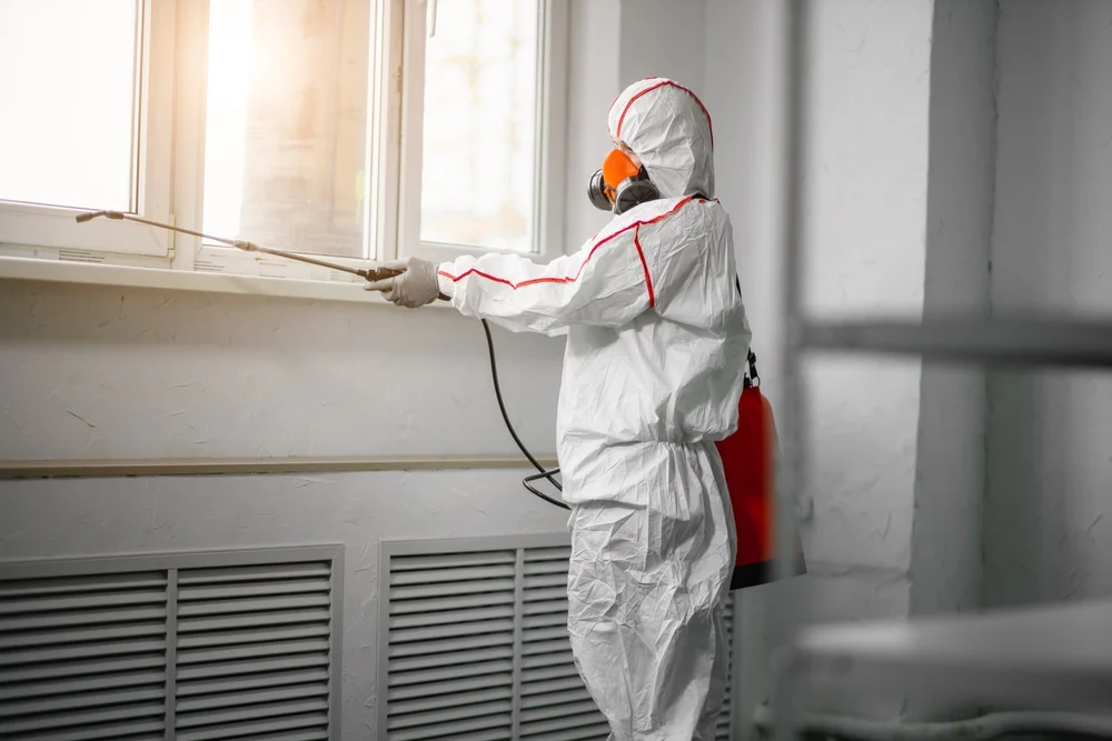 Professional mold remediation services in Kalaheo, HI